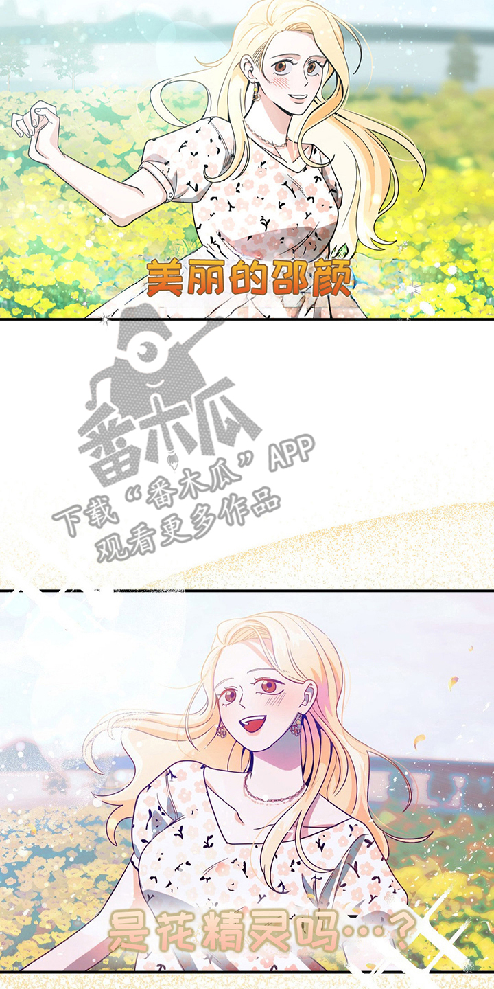 恶徒猎人 - 花精灵 - 第11页