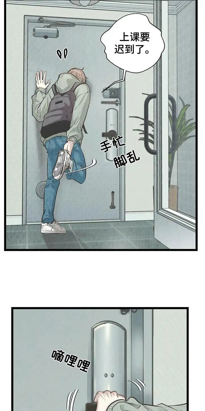 哥哥马甲掉了 - 邻居哥哥 - 第8页
