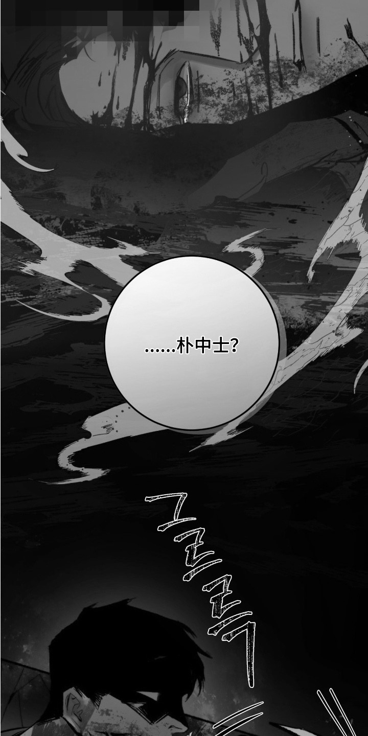 幸存者的曙光 - 黑鹰坠落 - 第14页