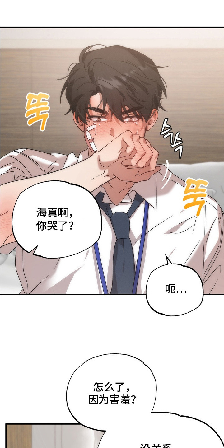误会纠葛 - 哭了 - 第17页