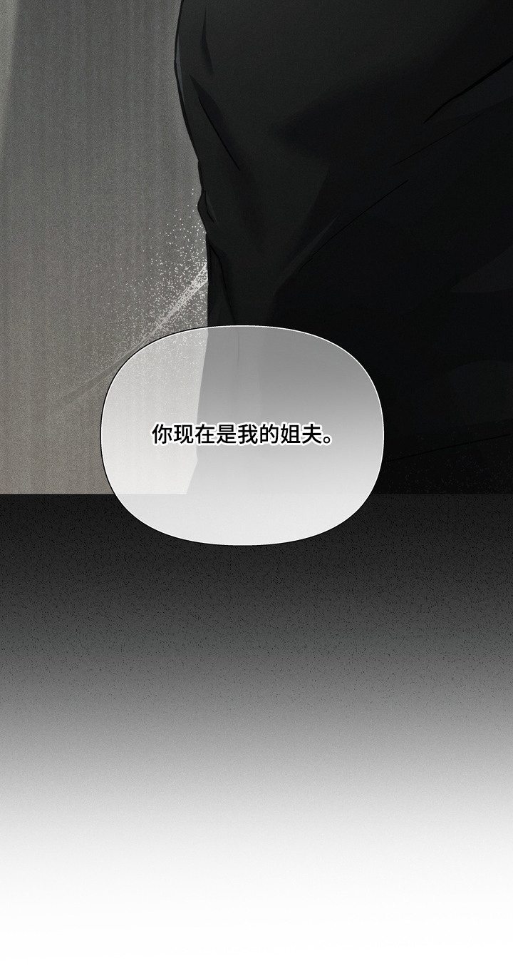 假意真情 - 姐夫 - 第23页
