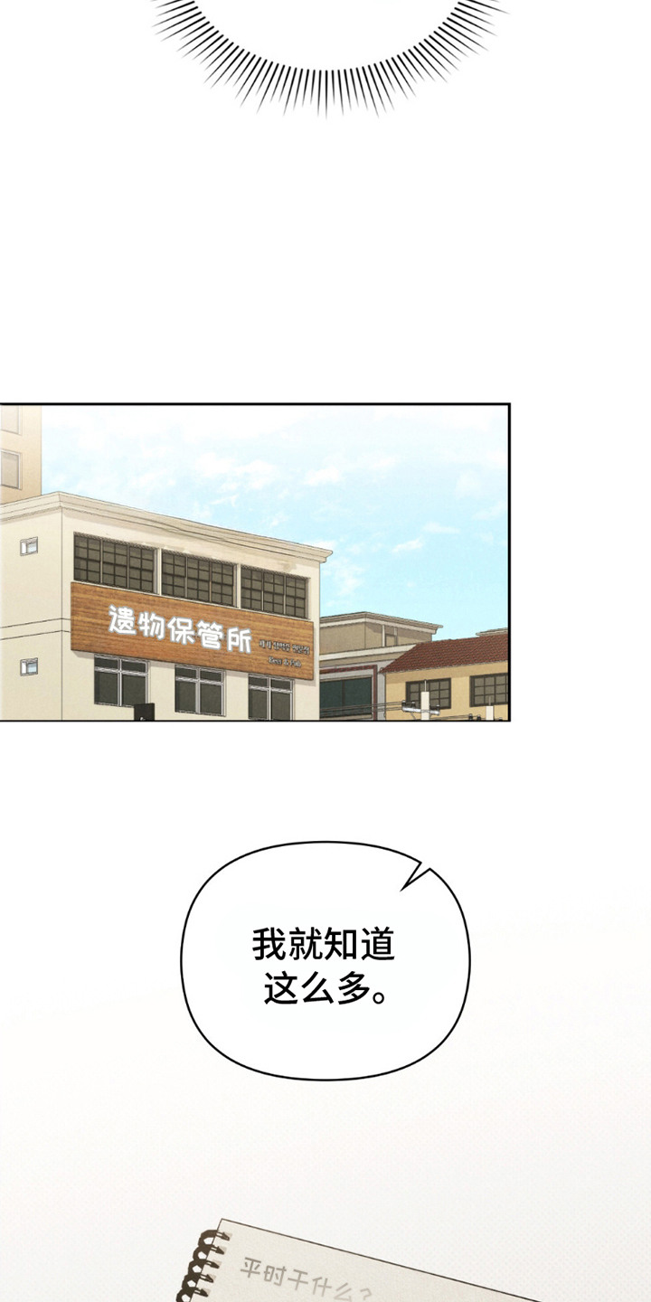 伪装浪漫 - 调查 - 第13页