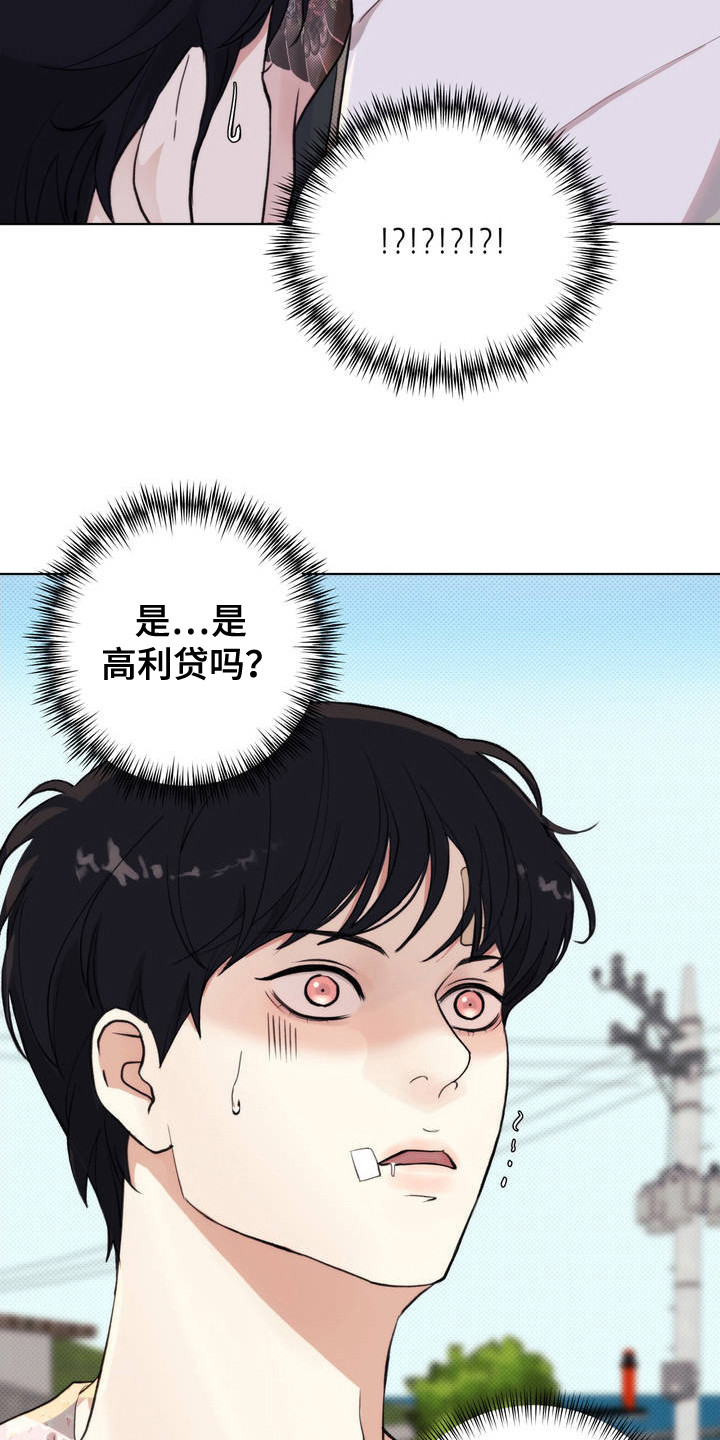 爱情岛 - 小岛 - 第21页