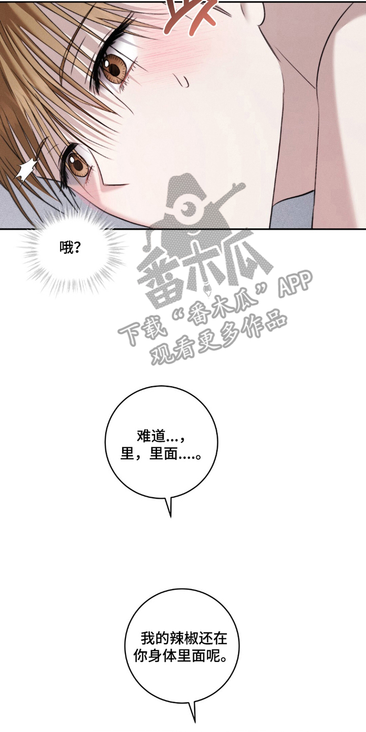 危险的契约 - 梦到的哥哥 - 第15页