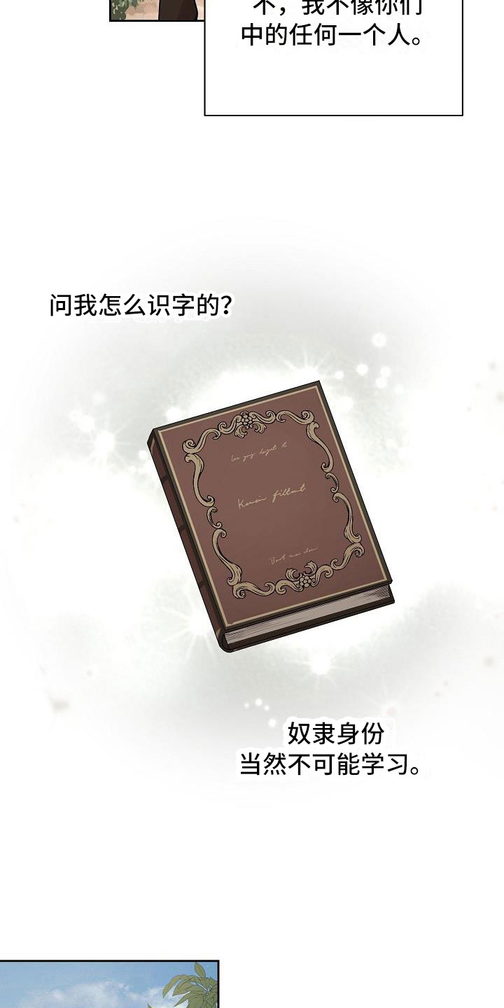 帝国的轮回 - 现在是奴隶 - 第14页