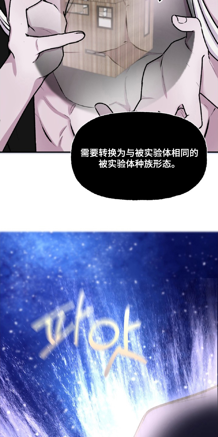 外星观察者 - 数据探索 - 第35页