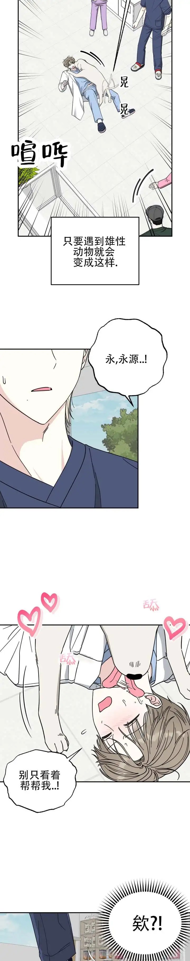 猫系男友 - 停下 - 第8页