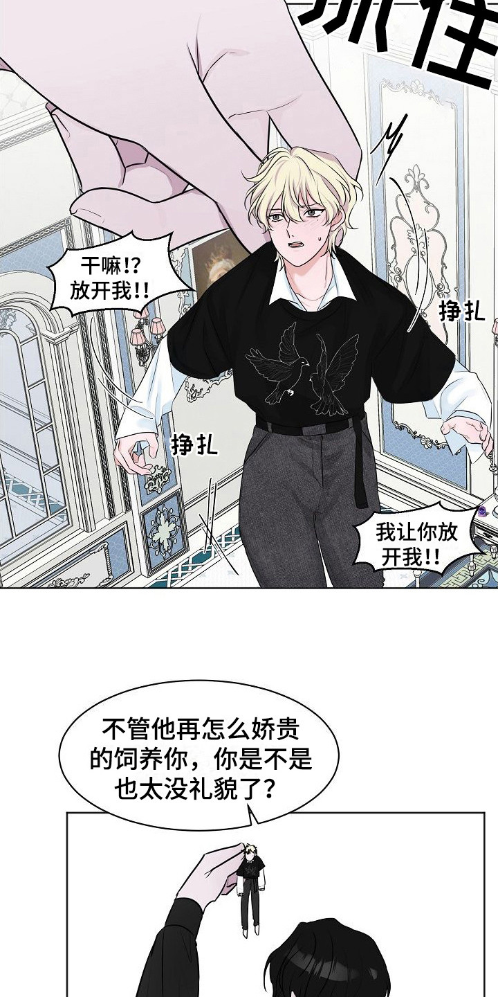 饲养计划 - 吵闹 - 第20页
