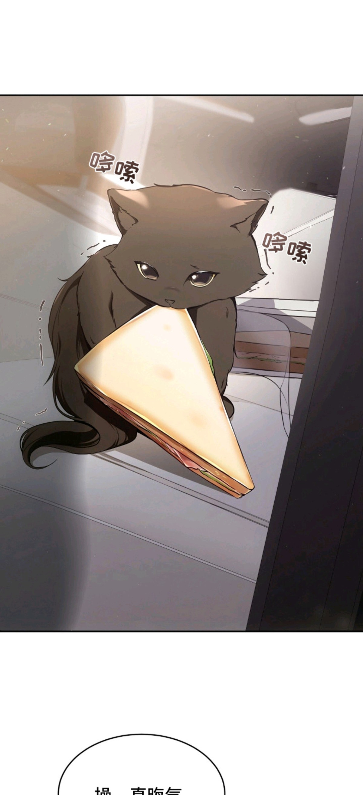 我的黑猫少年 - 黑猫 - 第8页
