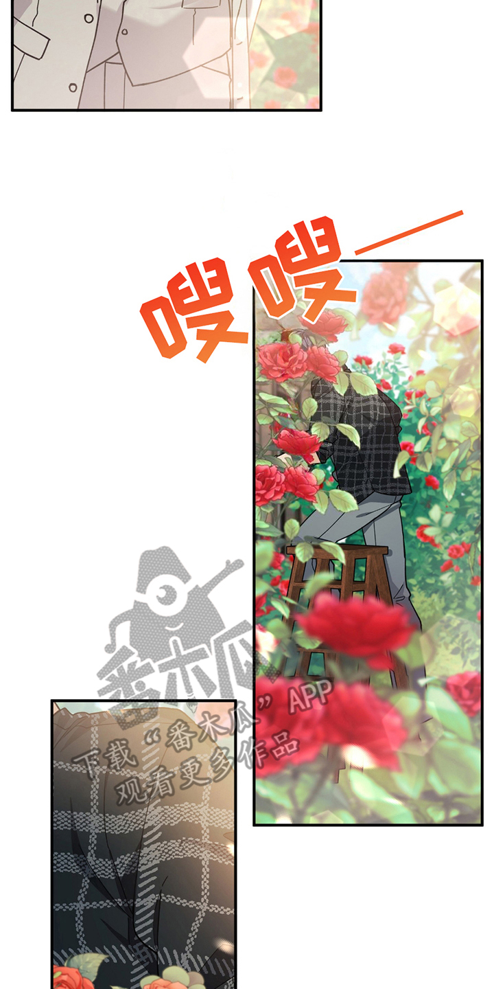 玫瑰庭院 - 灰熊 - 第17页
