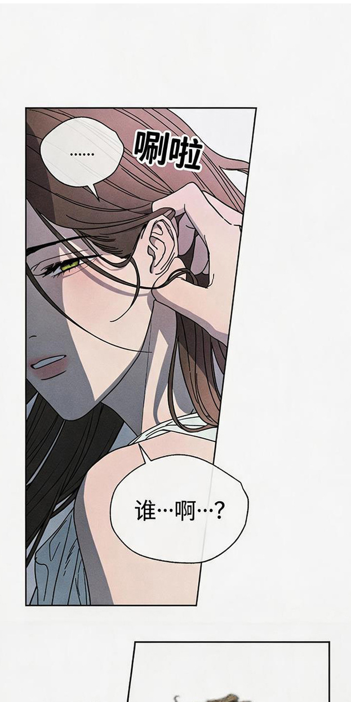 倾城伪妆 - 隐忍 - 第17页