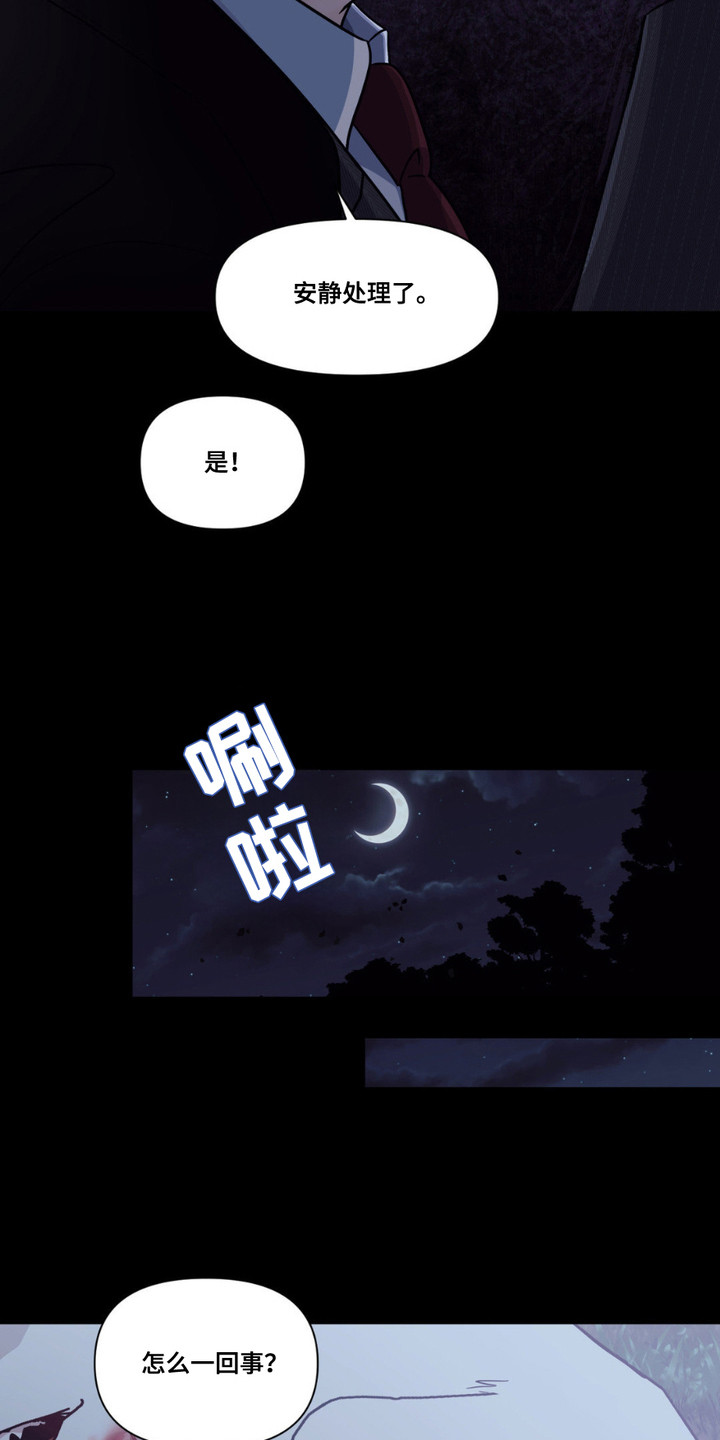 如此可爱的你 - 小狼崽 - 第13页