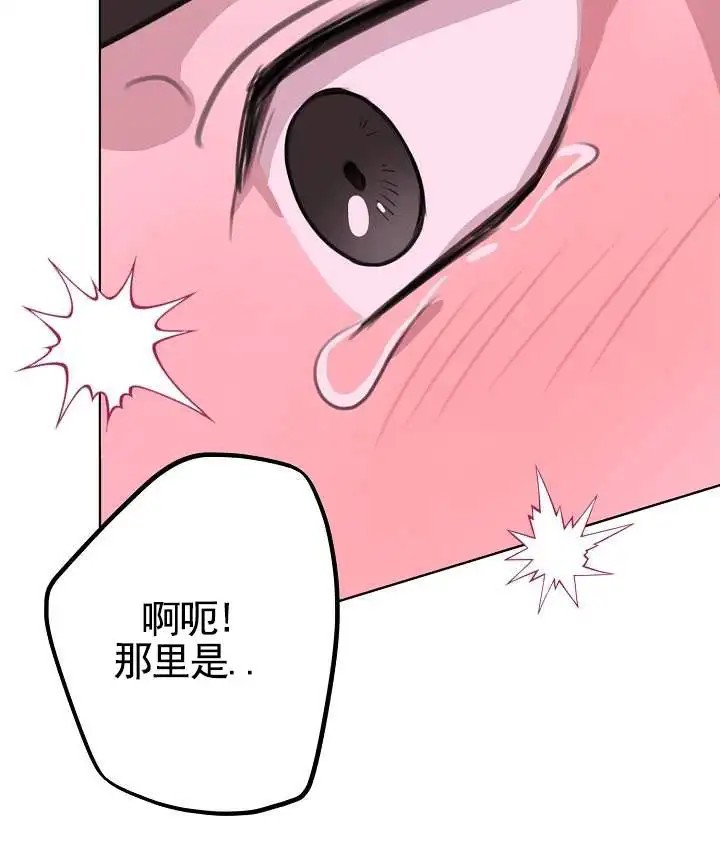 爱的倒计时 - 报复 - 第5页