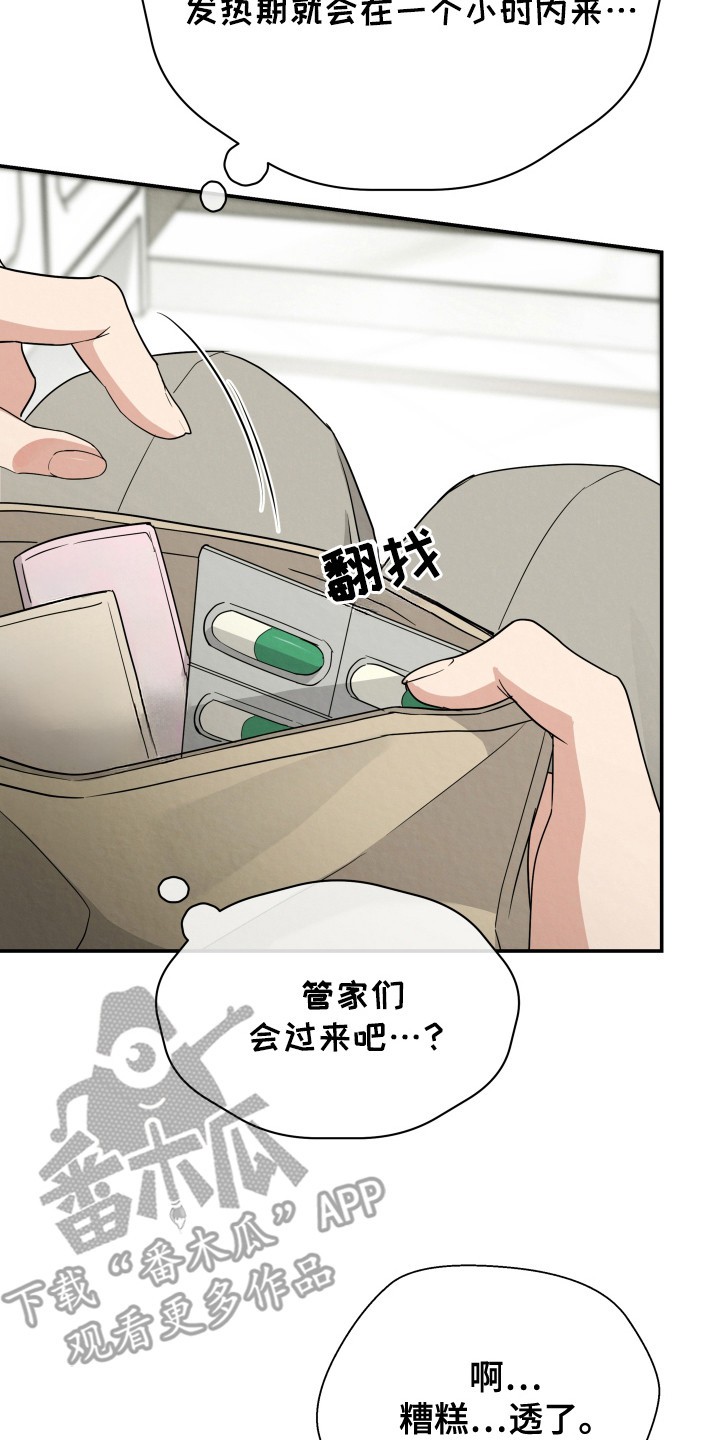 欧米伽套餐 - 特别套餐 - 第21页