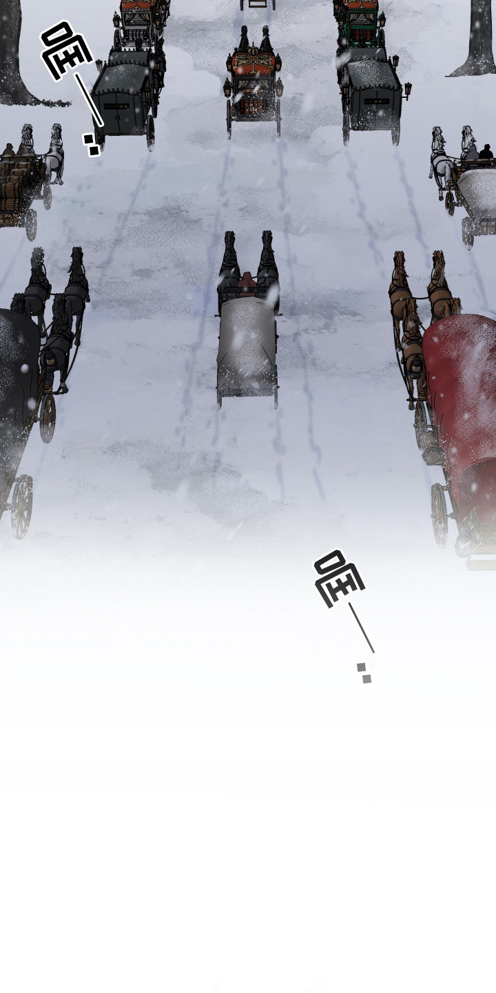 白夜的花路 - 白雪皑皑 - 第12页