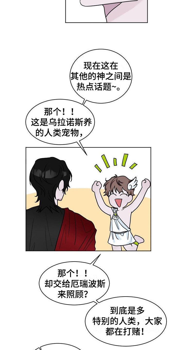 饲养计划 - 喜好 - 第16页