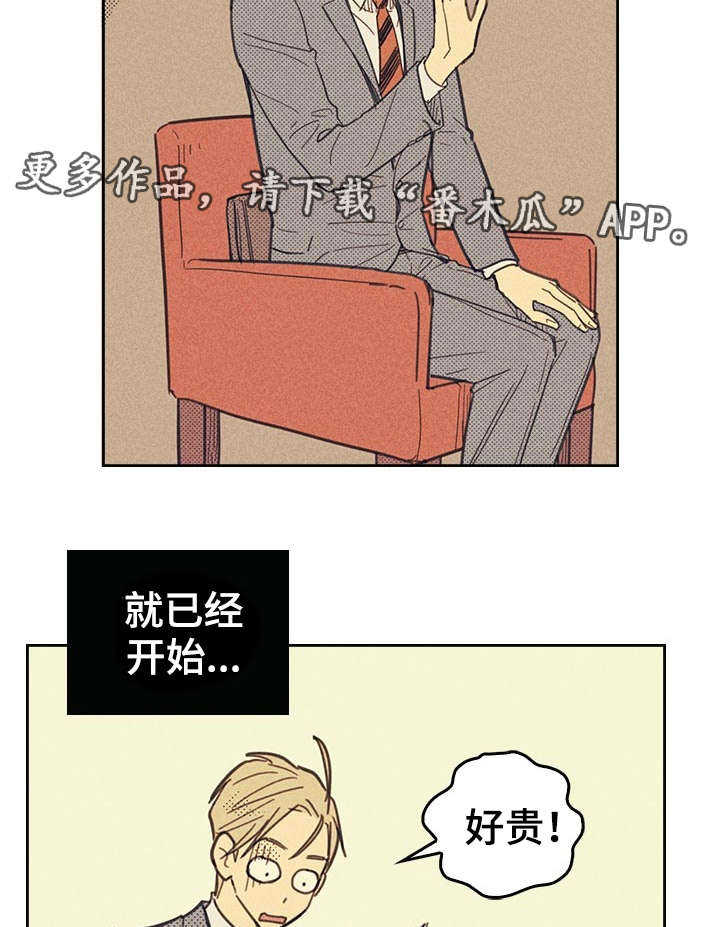 开或关 - 贿赂 - 第20页