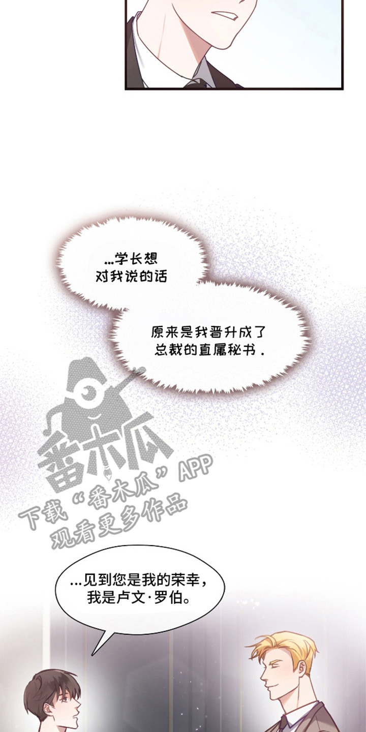 总裁的私人秘书 - 未来上司 - 第15页