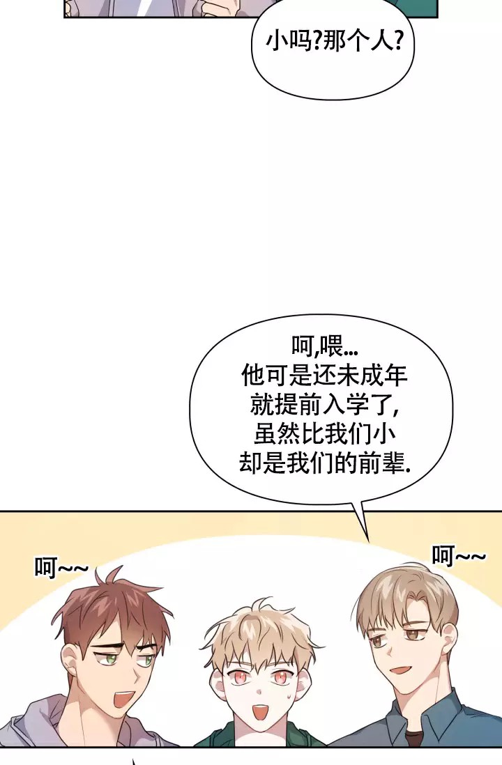 诱饵 - 过敏药 - 第5页