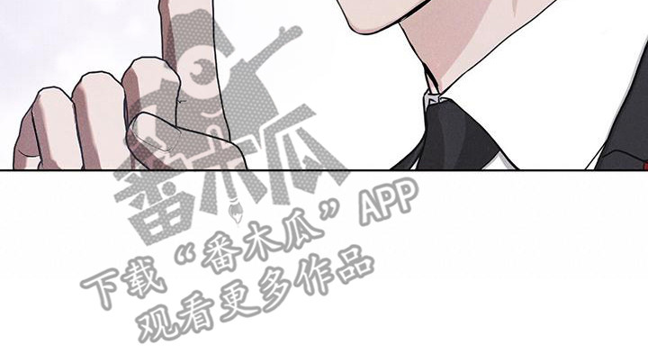 彩虹城 - 打赌 - 第21页