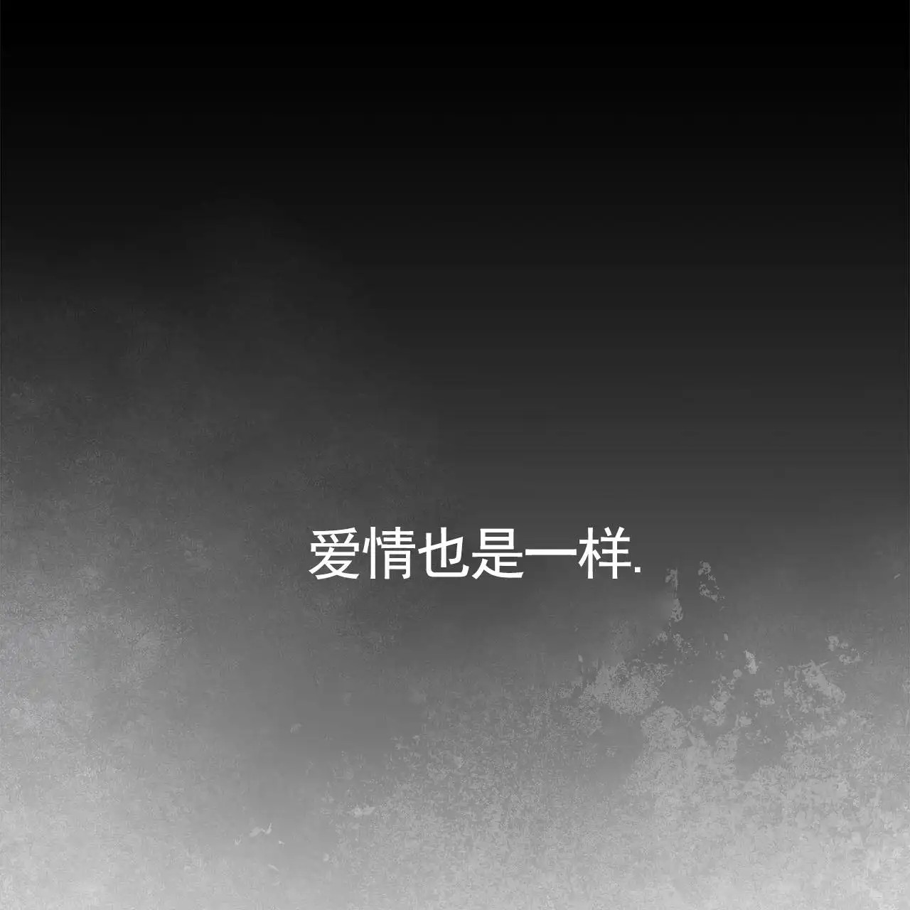不对等爱情 - 竞拍品 - 第15页