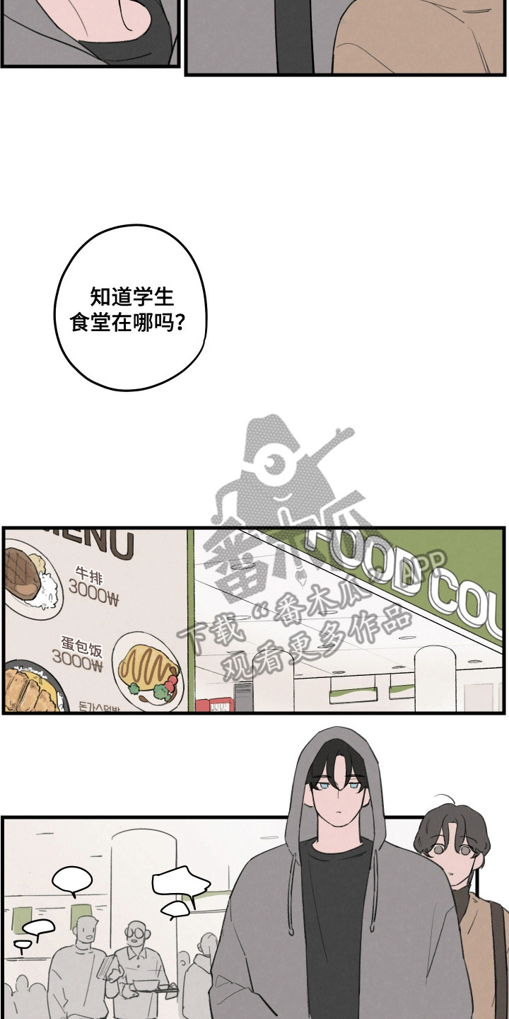 多彩青春 - 期待落空 - 第11页