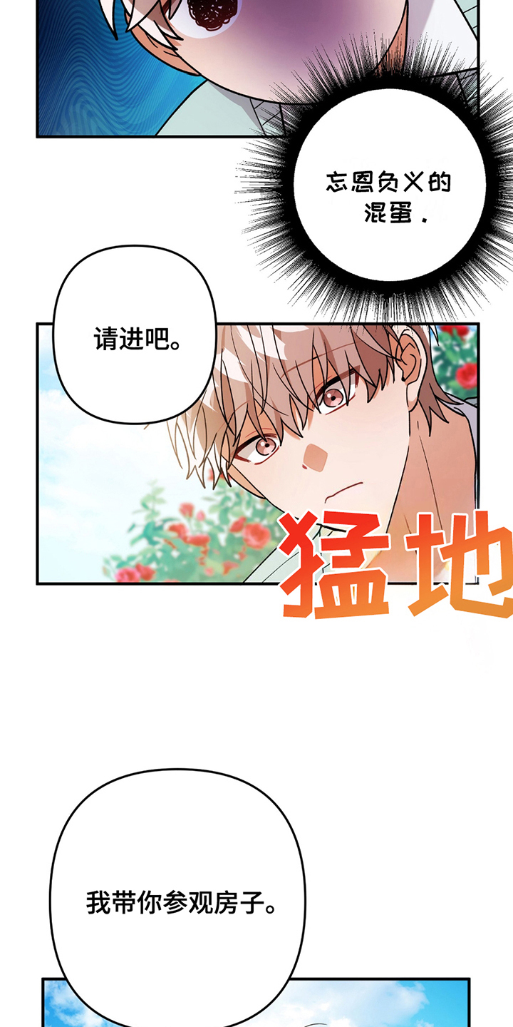 玫瑰庭院 - 正面突破 - 第8页