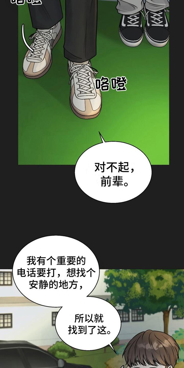 特殊伴侣 - 打掩护 - 第11页
