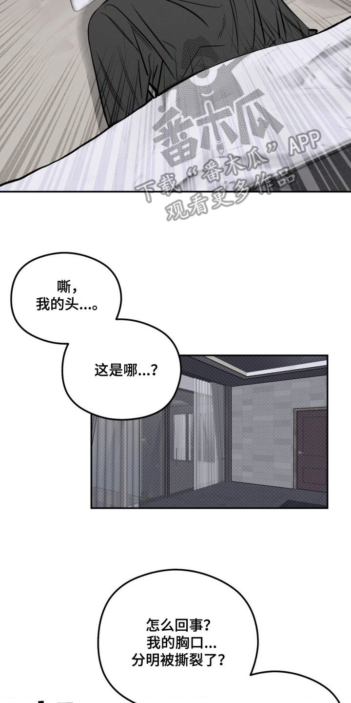 月下蛇影 - 出乎意料 - 第18页