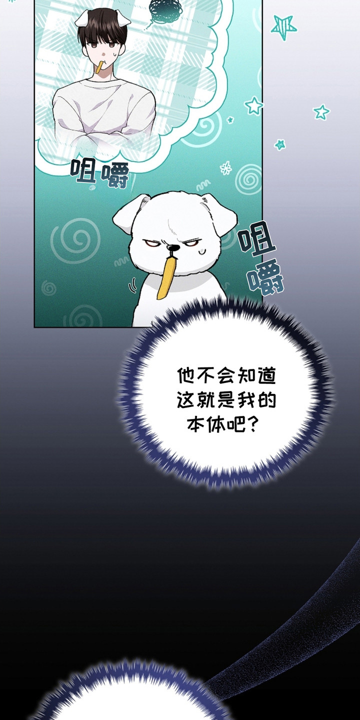 不要招惹小狗 - 小零食 - 第17页