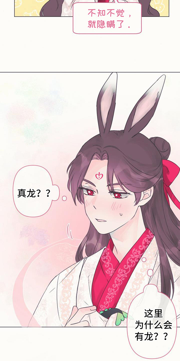 兔兔的小龙宝 - 幼龙 - 第13页