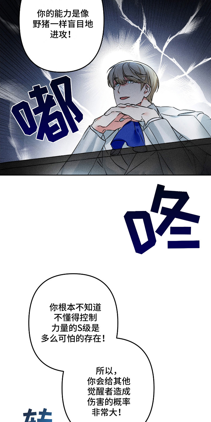 无效觉醒 - 觉醒者 - 第19页