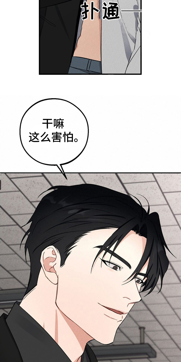 青涩初恋 - 别无选择 - 第9页