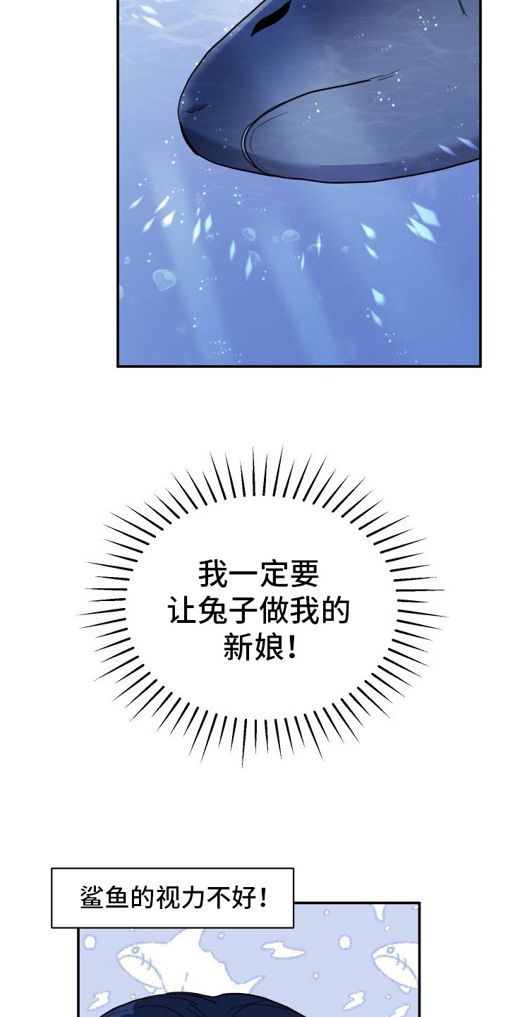 鲨鱼的新娘 - 捡回家 - 第7页