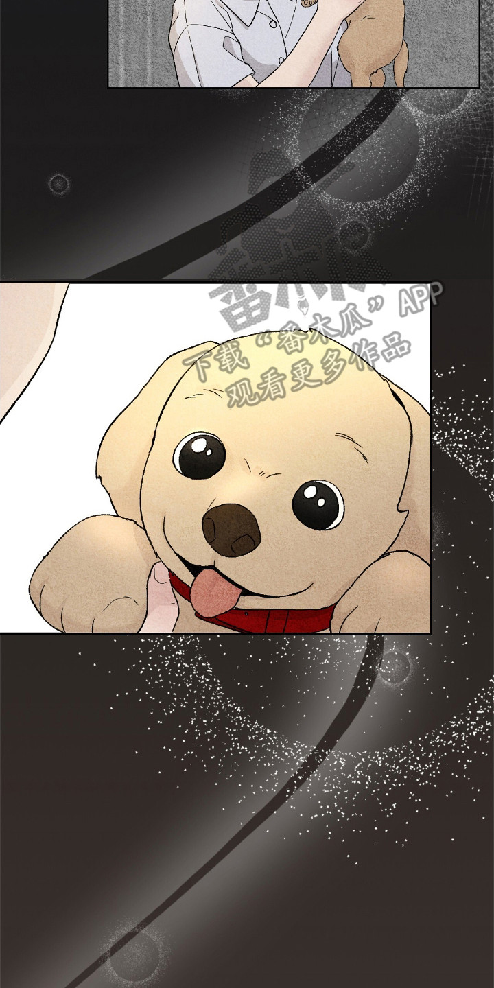 爱犬宝贝 - 摩卡 - 第15页