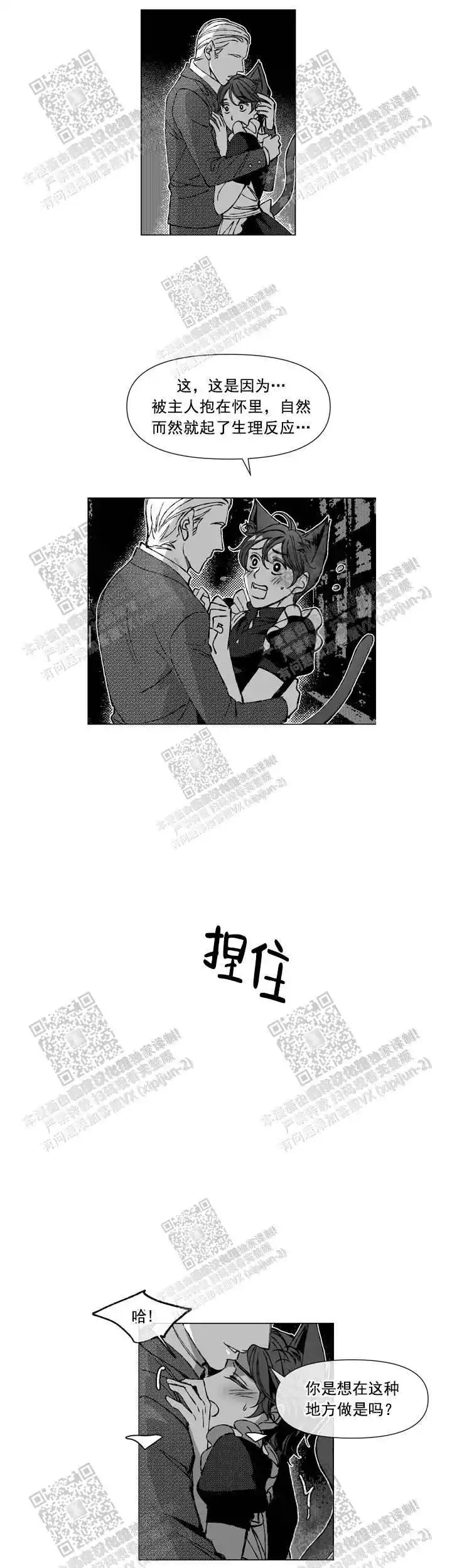 我的猫管家 - 欢迎光临 - 第10页