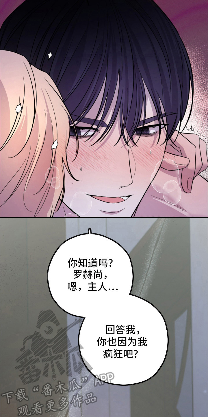 支配者游戏 - 黑龙与金鸟 - 第15页