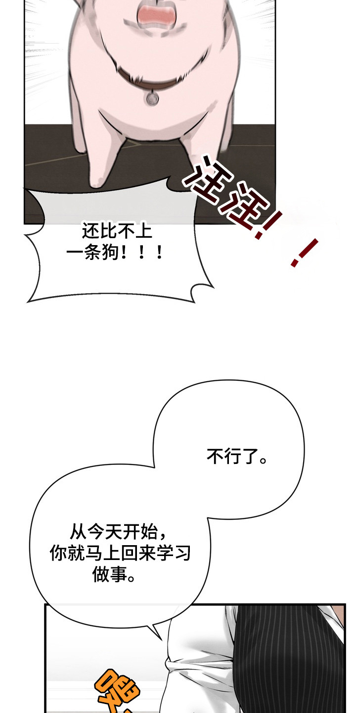 开发训狗 - 继承人 - 第21页