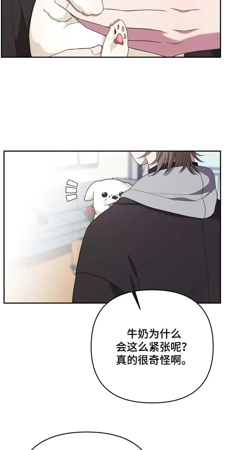猛宠旧情 - 搭讪 - 第8页