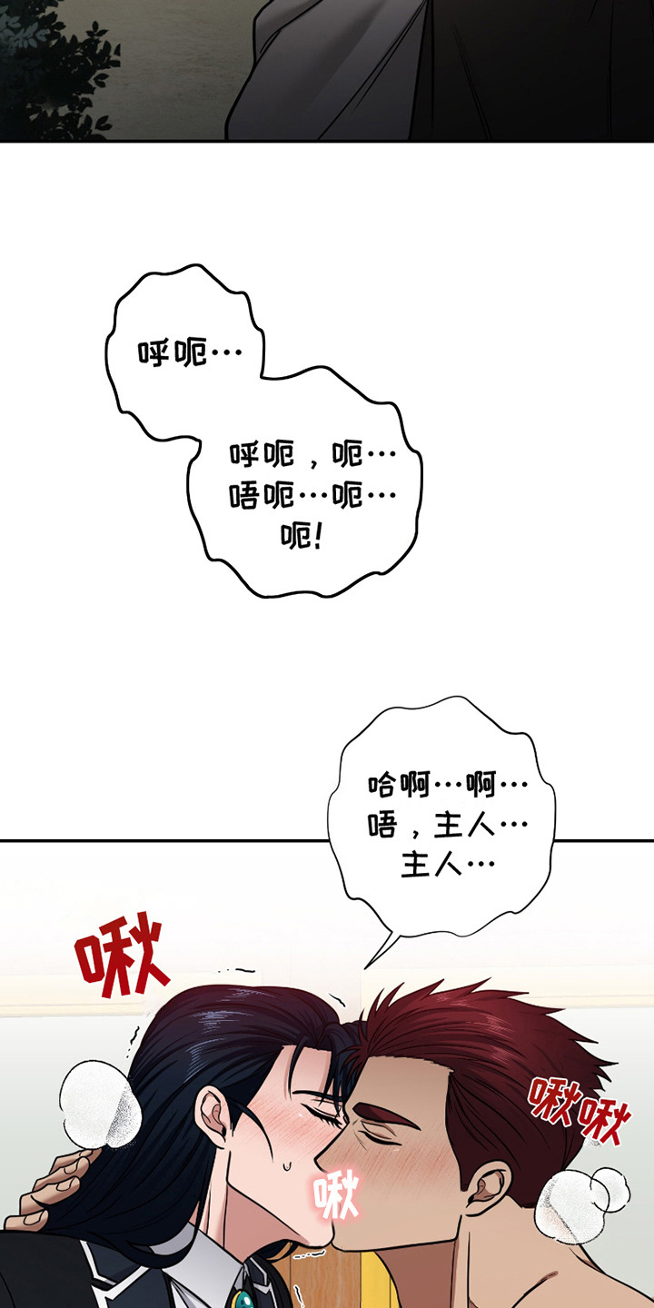 公爵的另一面 -   - 第17页