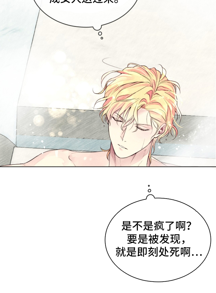 冰封的王嫁 - 无法预料 - 第15页