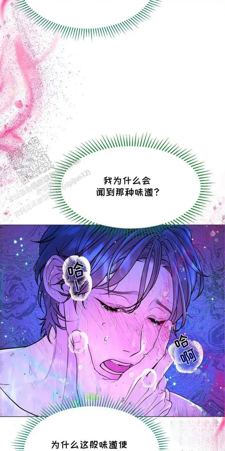 乱世之花 - 香甜气味 - 第22页