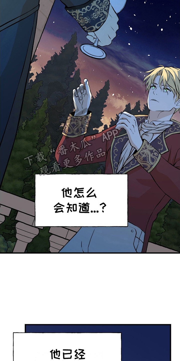 皇家婚礼 - 告辞 - 第15页