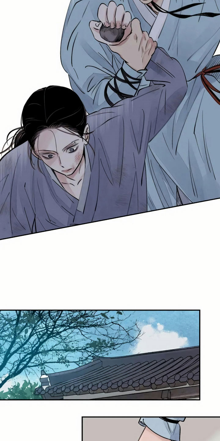 剑与花 - 灭门 - 第22页