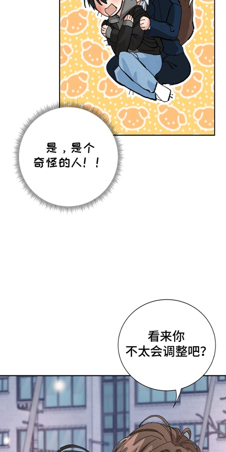 奇异夫妇 - 和我结婚吧 - 第13页