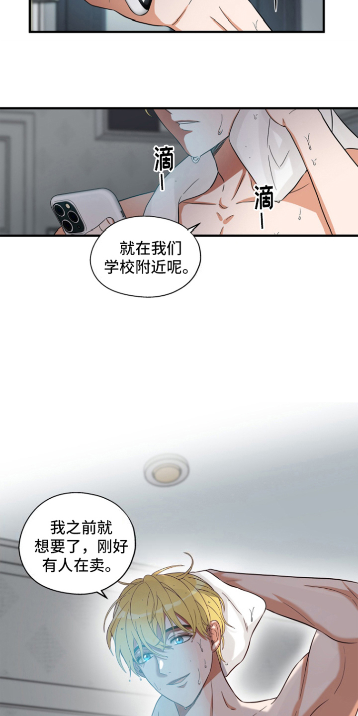 咖啡情缘 - 重新开始 - 第20页