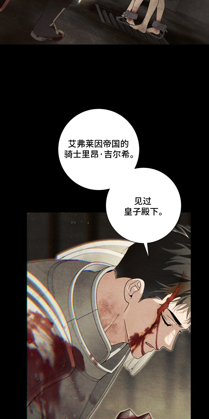 神堕之夜 - 骑士 - 第10页