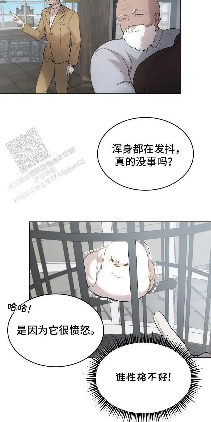 白鸟奇遇记 - 性格不好 - 第8页