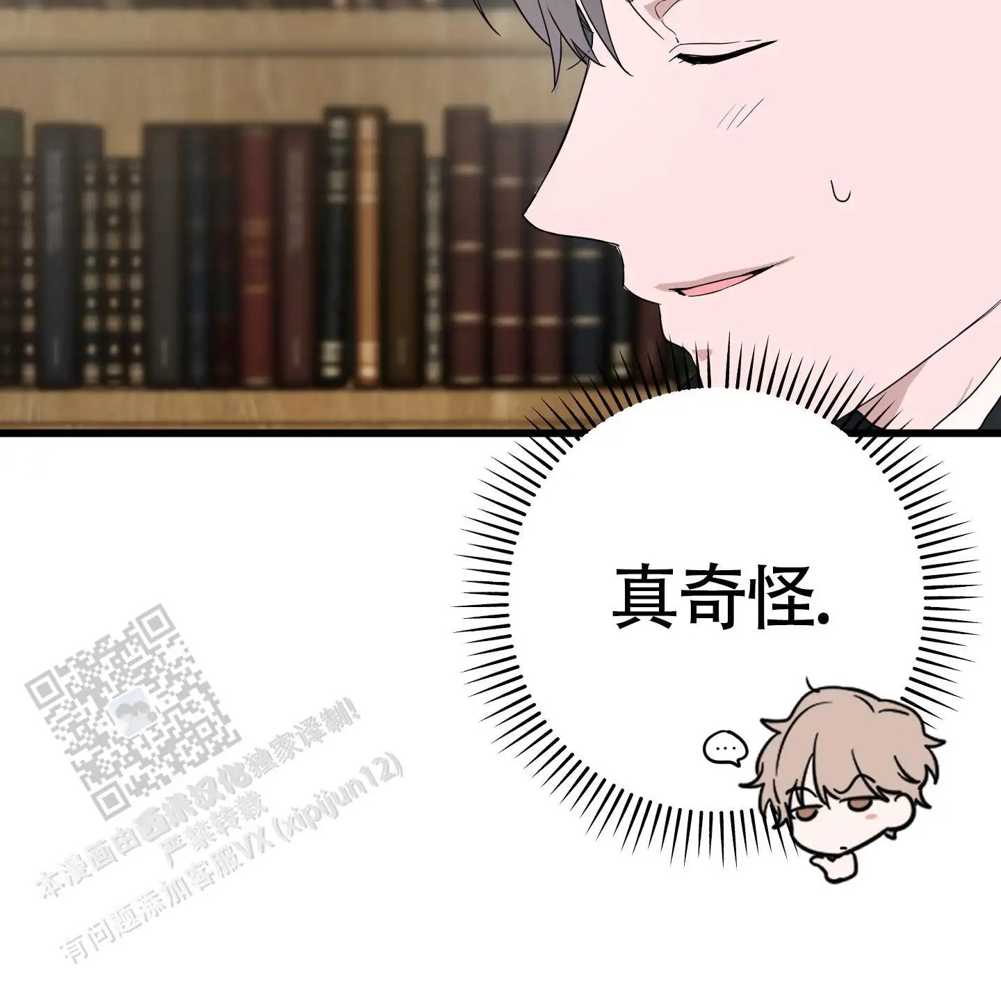 神秘委托人 - 那个混账 - 第12页