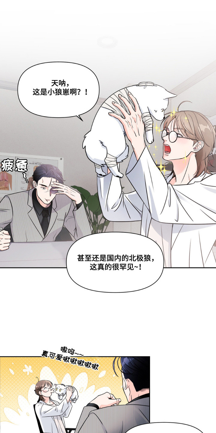 如此可爱的你 - 兽医 - 第11页